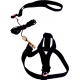 Mojo Kuş Tasması