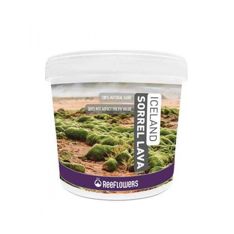 ReeFlowers Iceland Sorrel Lava (4-6 mm) 15 kg