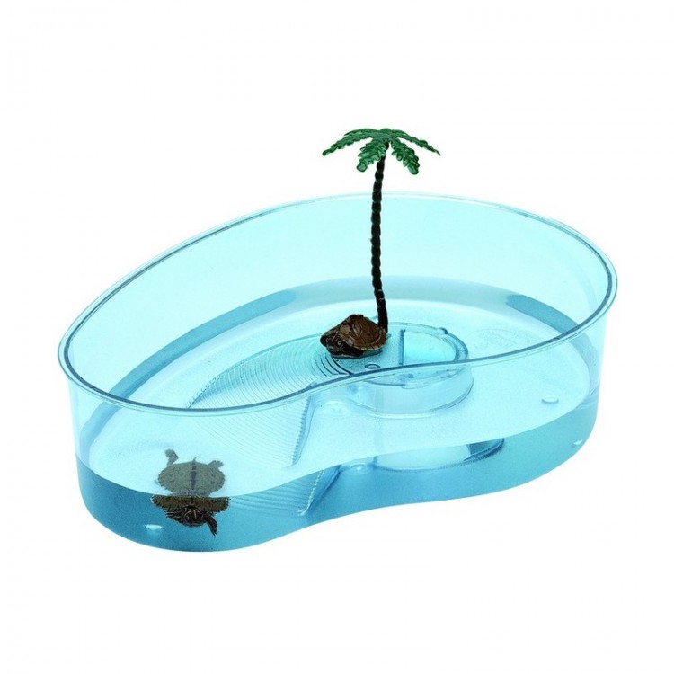 Sealife Kaplumbaga Bahçesi (Armudi 8cm-31.5cm-23cm)